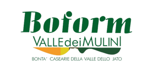 logo-boform