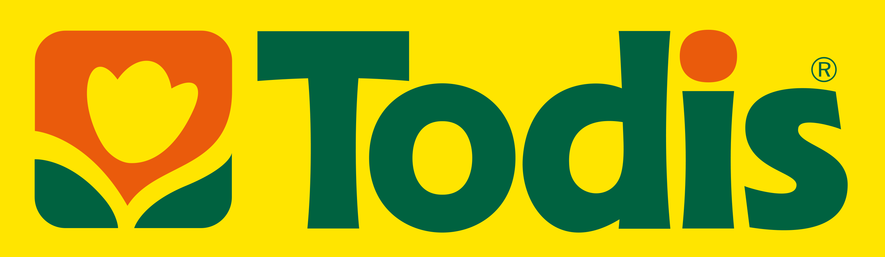 logo-todisi-mediservice